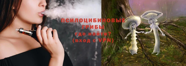 a pvp Богданович