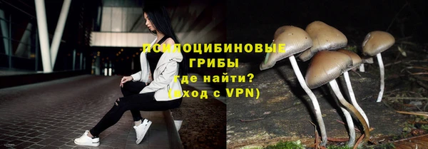 дживик Богородицк