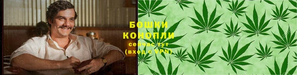 дживик Богородицк