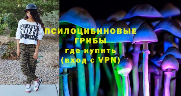 a pvp Богданович