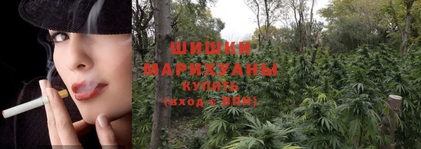 дживик Богородицк