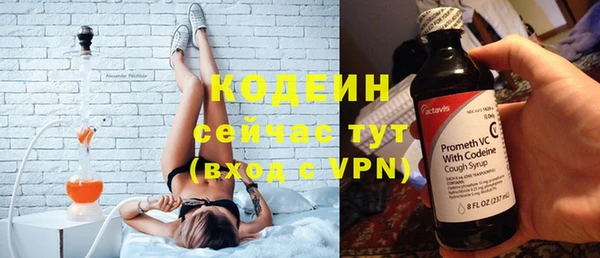 дживик Богородицк