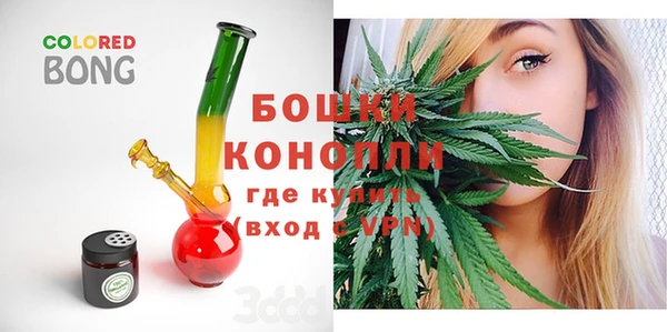 дживик Богородицк
