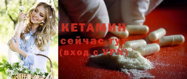 дживик Богородицк