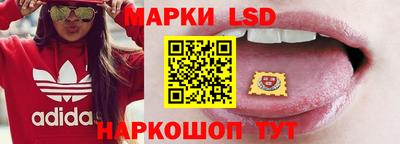 стафф Кандалакша