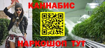 сатива Камышлов