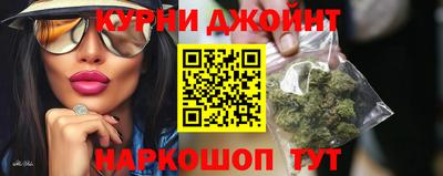 сатива Камышлов