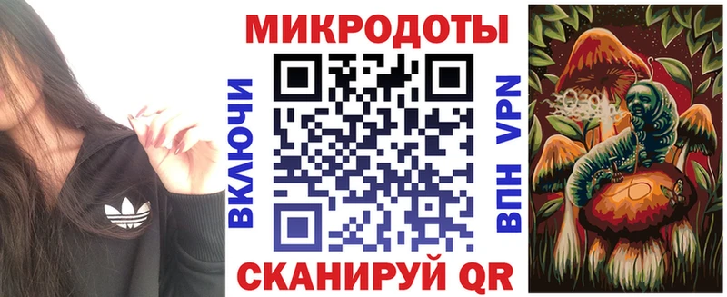 Галлюциногенные грибы Psilocybine cubensis  Малоярославец 
