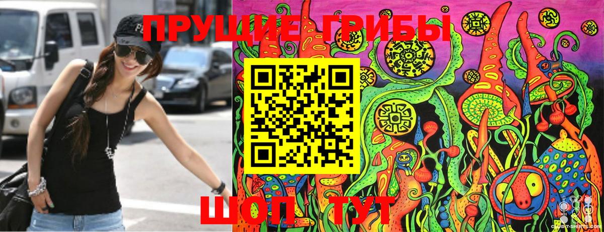 Малоярославец  Псилоцибиновые грибы мицелий  закладка  Вход с VPN 